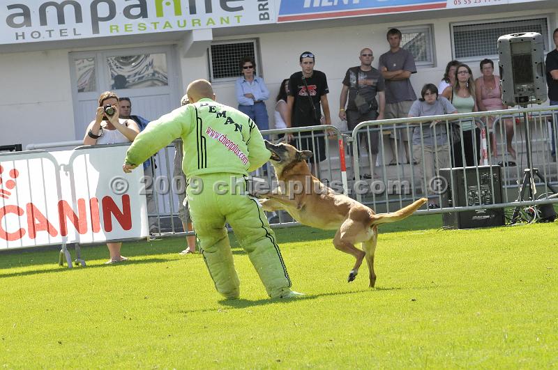 _DSC9258.JPG - CHIENPLUS.COM
