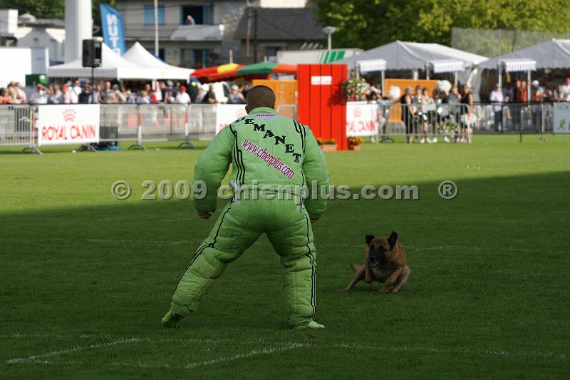 DSC04871.JPG