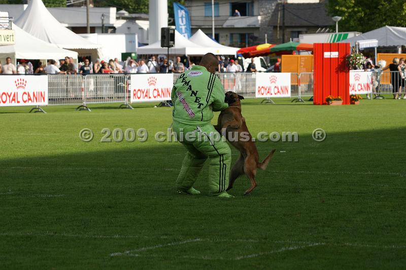 DSC04885.JPG