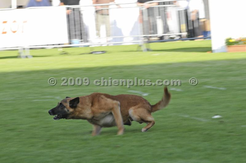 _DSC8252.JPG - CHIENPLUS.COM