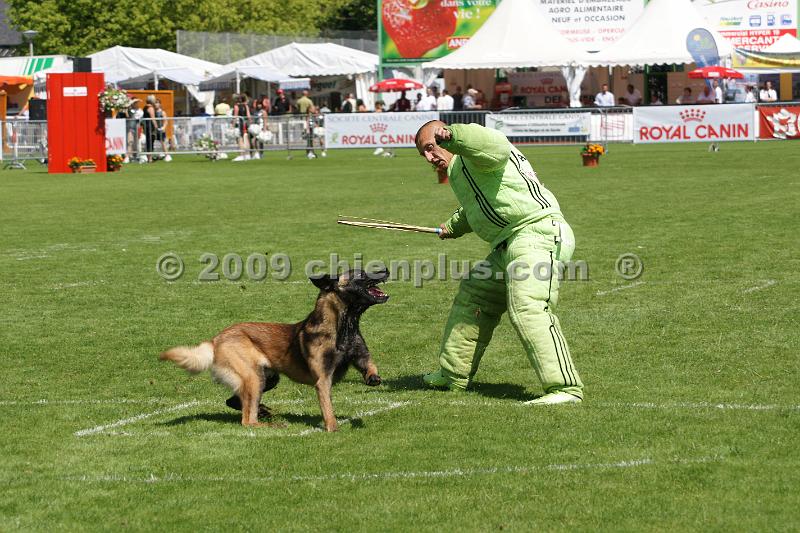 DSC05765.JPG