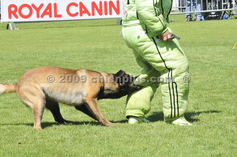 _DSC8562.JPG - CHIENPLUS.COM