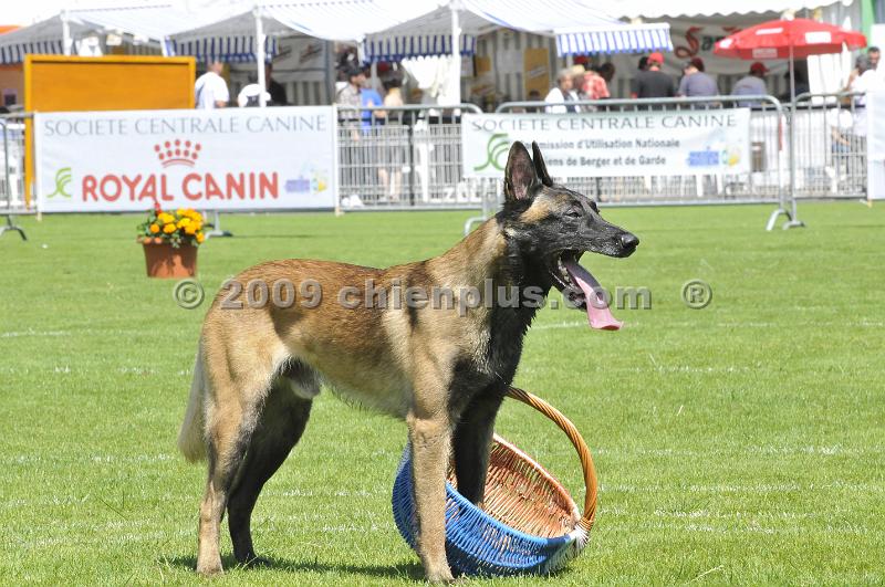 _DSC8609.JPG - CHIENPLUS.COM