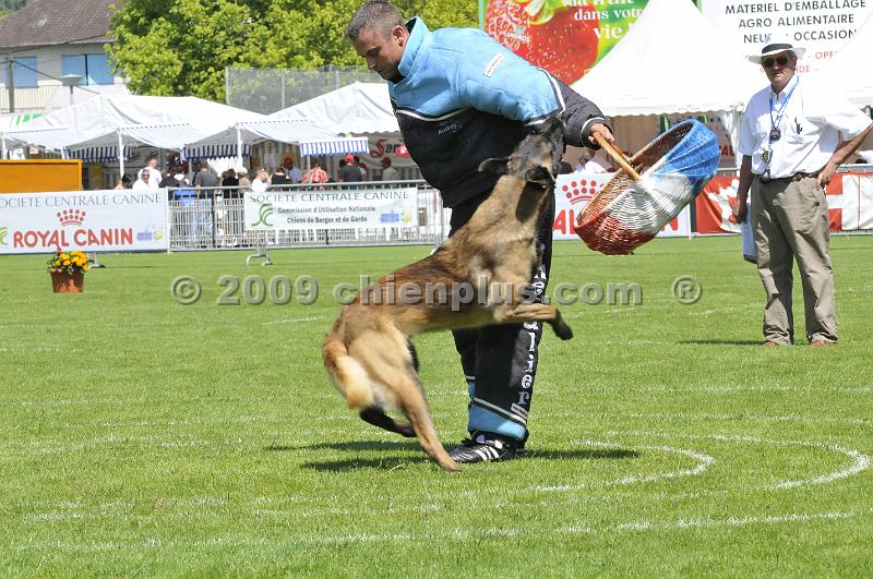 _DSC8623.JPG - CHIENPLUS.COM