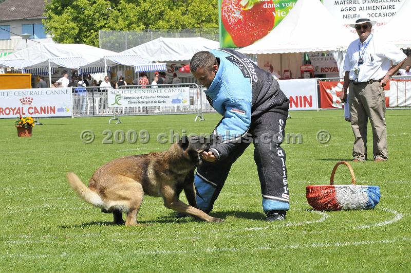 _DSC8629.JPG - CHIENPLUS.COM