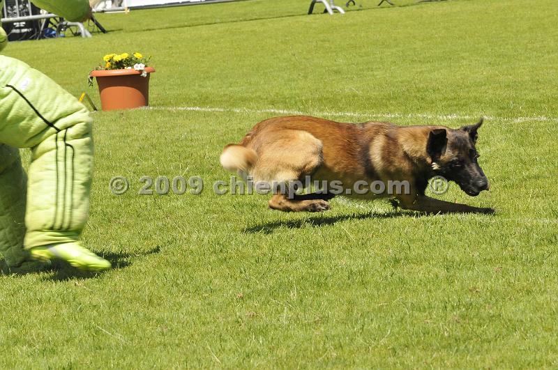 _DSC8650.JPG - CHIENPLUS.COM
