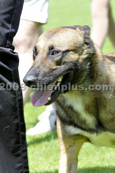 _DSC8672.JPG - CHIENPLUS.COM