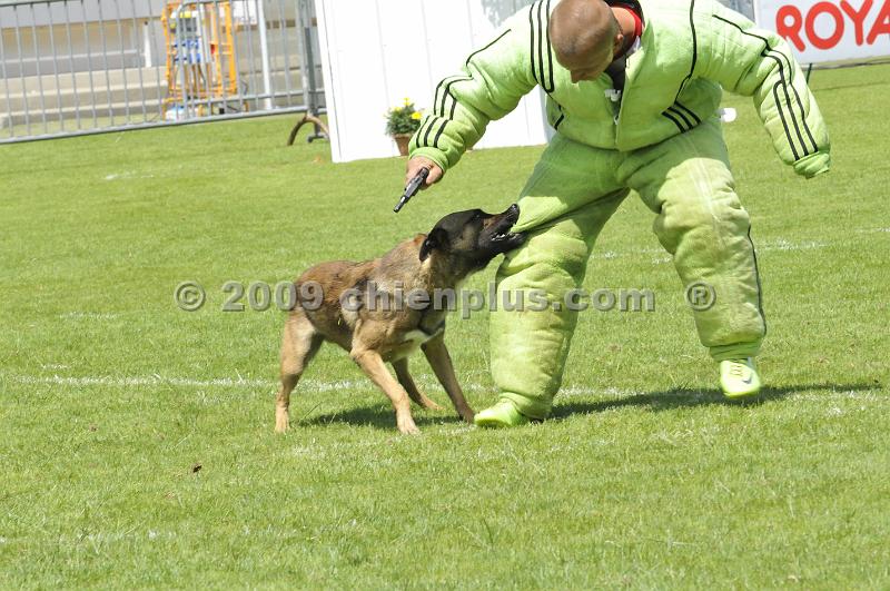 _DSC8688.JPG - CHIENPLUS.COM