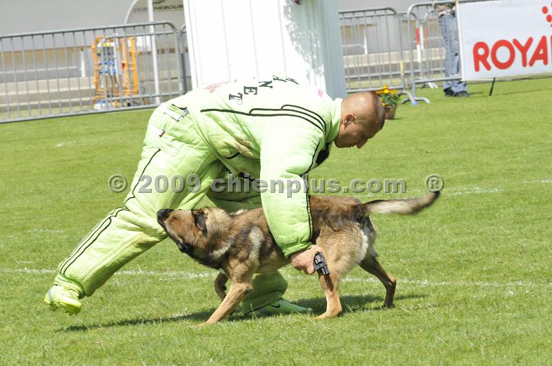 _DSC8692.JPG - CHIENPLUS.COM