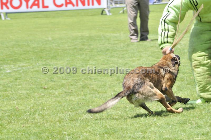 _DSC8782.JPG - CHIENPLUS.COM