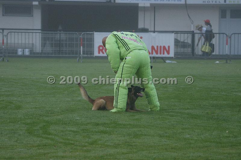 DSC00402.JPG
