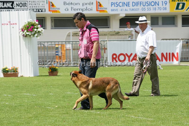 DSC02726.JPG