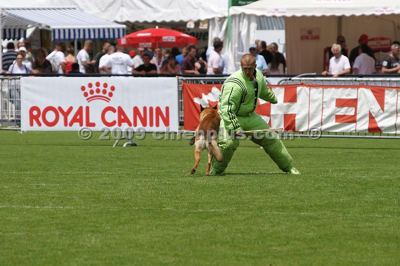 DSC02741.JPG