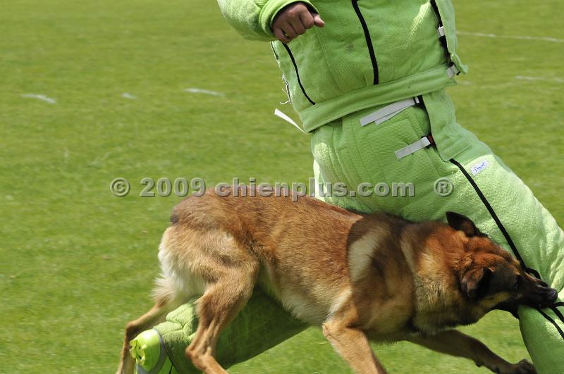 _DSC7502.JPG - CHIENPLUS.COM