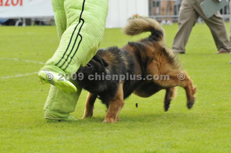_DSC7802.JPG - CHIENPLUS.COM