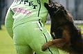 DSC03730