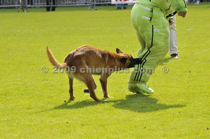 _DSC8007.JPG - CHIENPLUS.COM