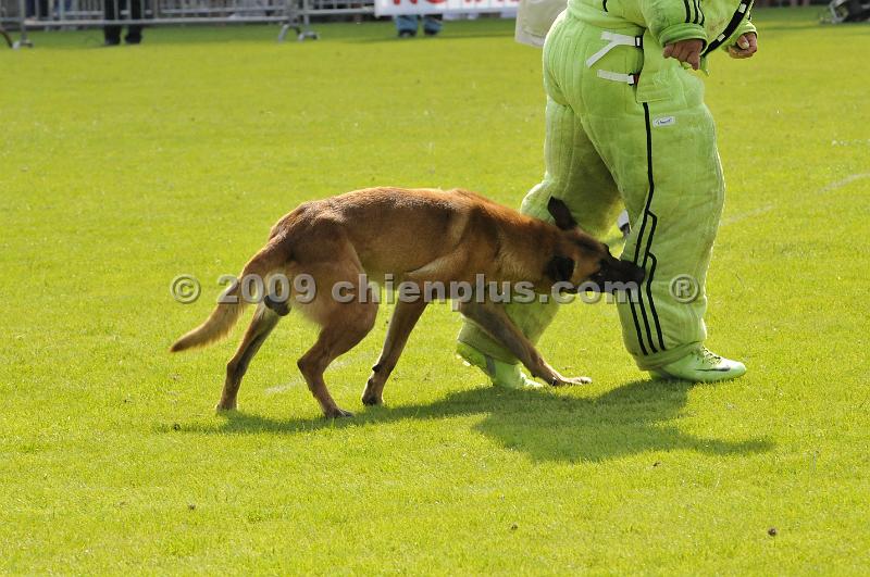 _DSC8008.JPG - CHIENPLUS.COM