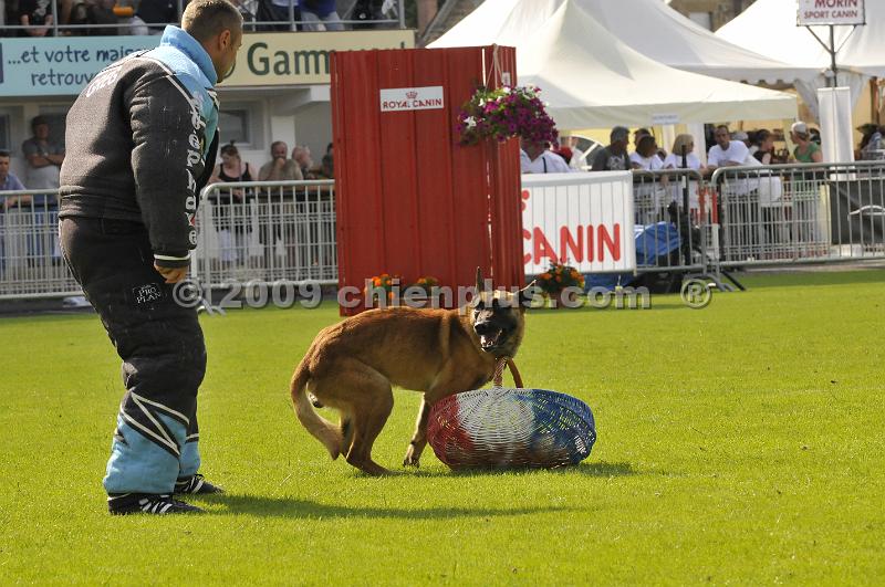 _DSC8038.JPG - CHIENPLUS.COM