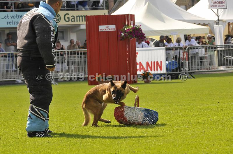 _DSC8039.JPG - CHIENPLUS.COM