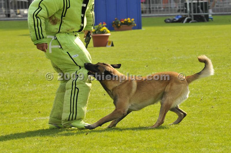 _DSC8065.JPG - CHIENPLUS.COM