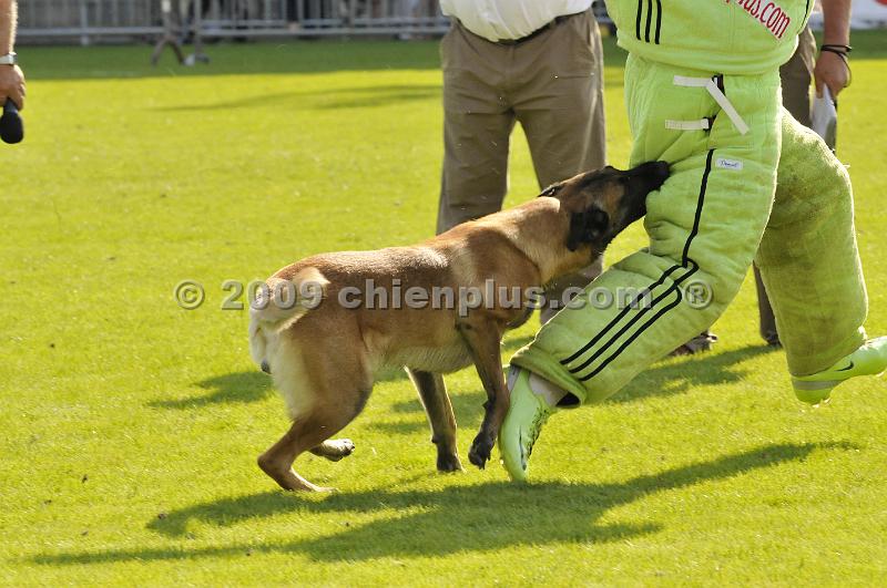 _DSC8083.JPG - CHIENPLUS.COM