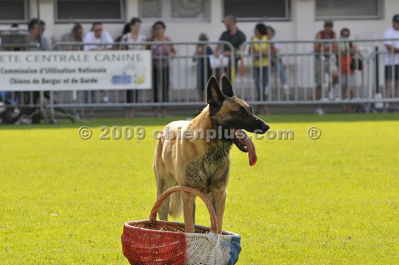 _DSC8089.JPG - CHIENPLUS.COM