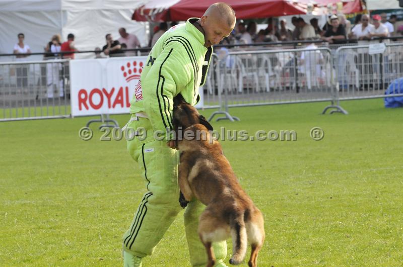 _DSC8125.JPG - CHIENPLUS.COM