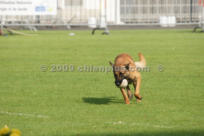 DSC01306.JPG