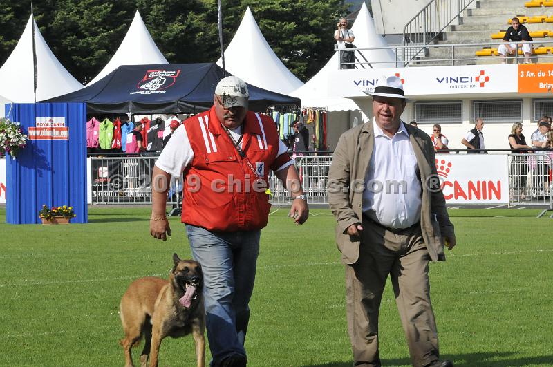 _DSC6968.JPG - CHIENPLUS.COM
