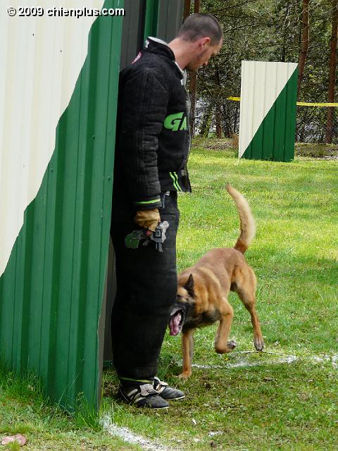P1000764.JPG