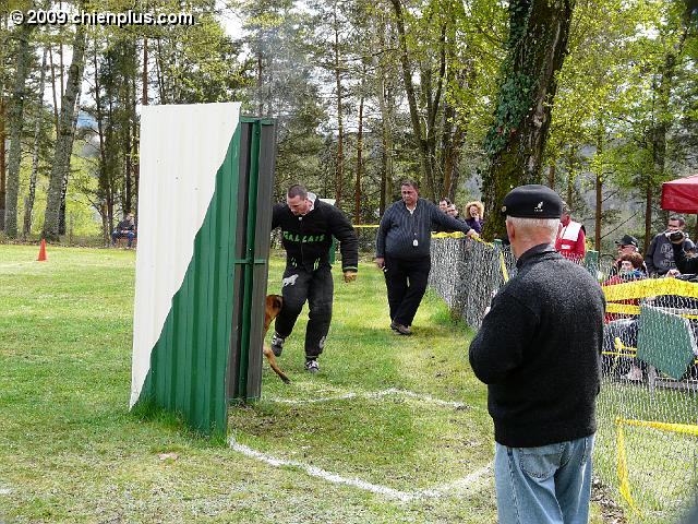 P1000768.JPG