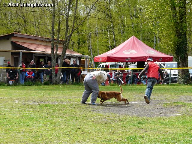P1000793.JPG