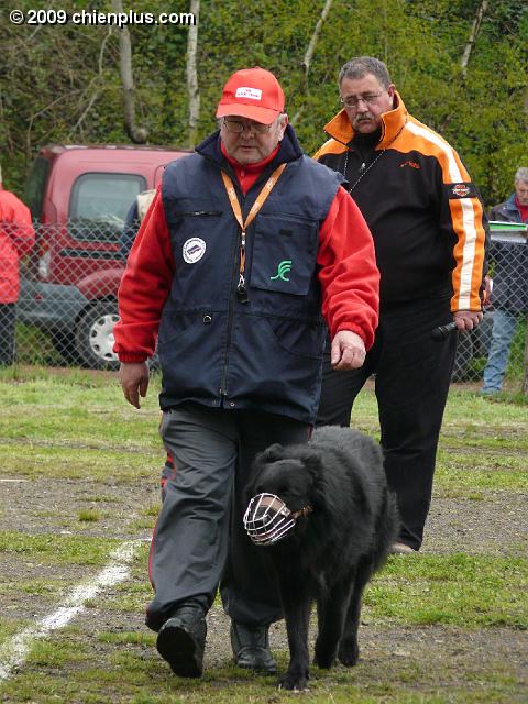 P1000412.JPG