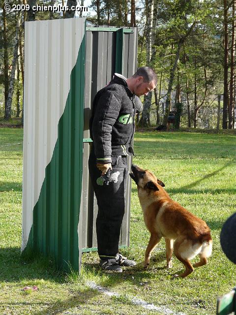 P1000834.JPG
