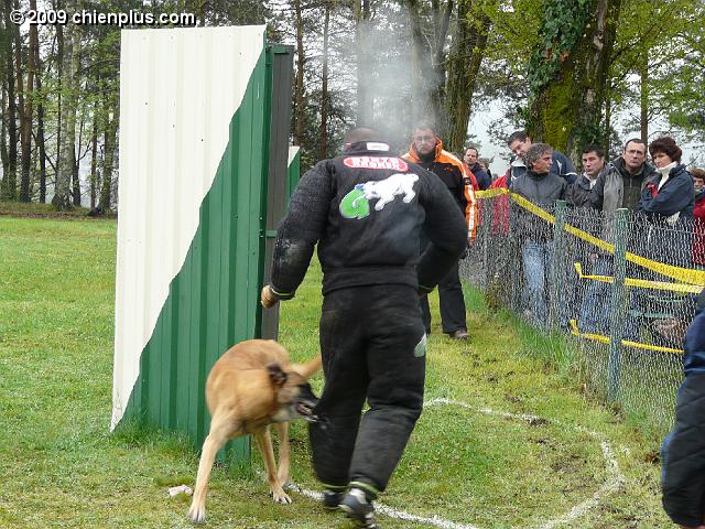 P1000274.JPG