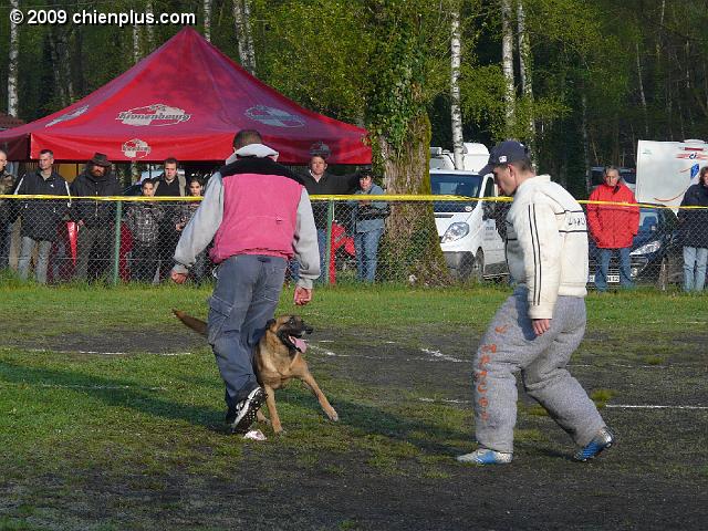 P1010096.JPG