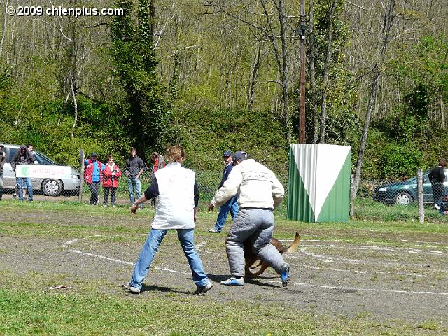 P1010271.JPG