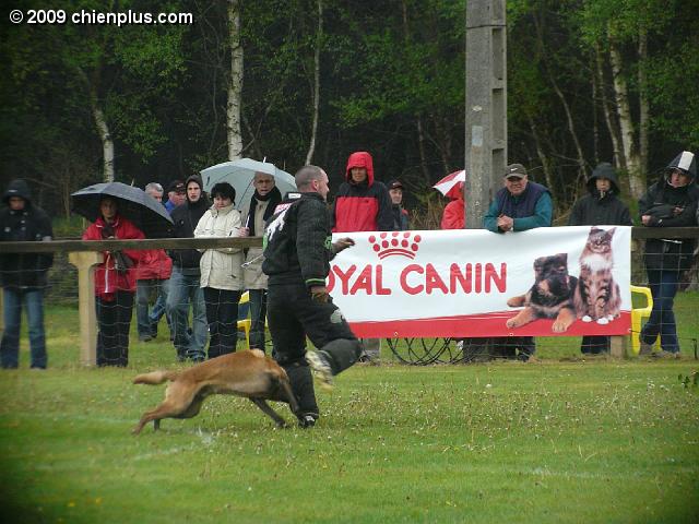 P1030046.JPG