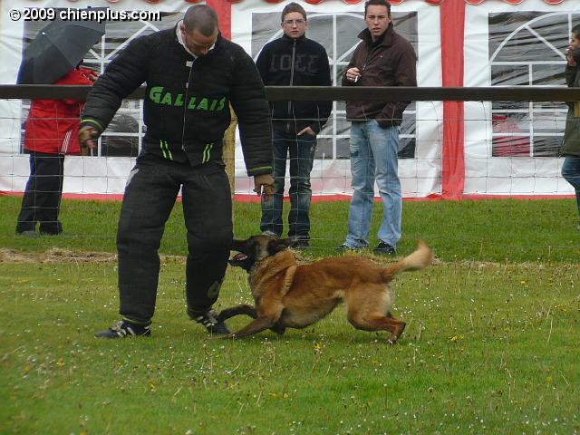 P1030053.JPG