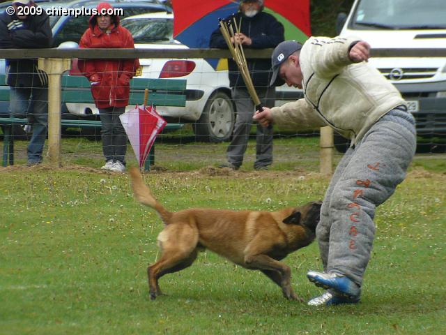 P1030095.JPG