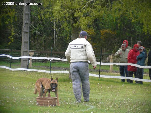 P1030404.JPG