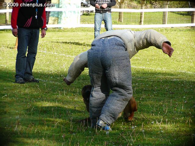 P1020385.JPG