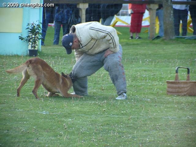 P1010542.JPG