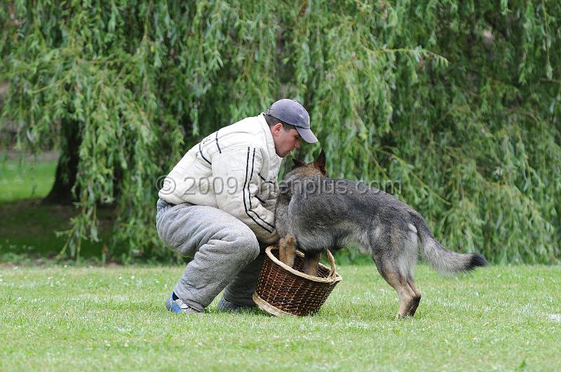 DSC_9740.JPG - CHIENPLUS.COM