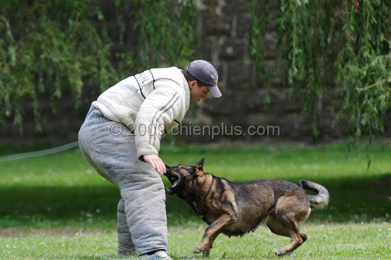 DSC_9834.JPG - CHIENPLUS.COM