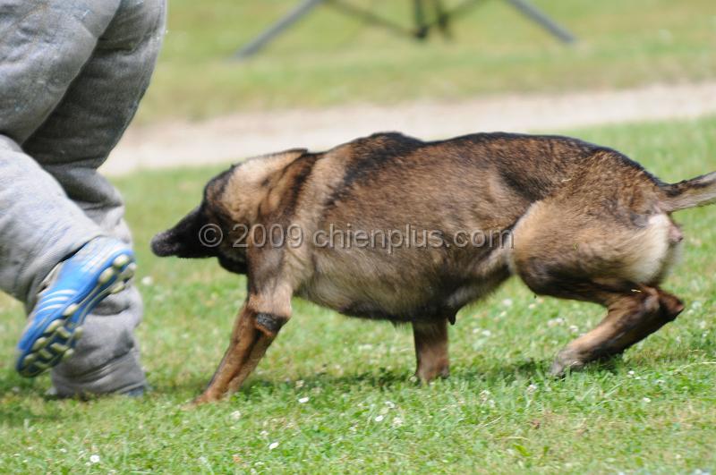 DSC_9838.JPG - CHIENPLUS.COM
