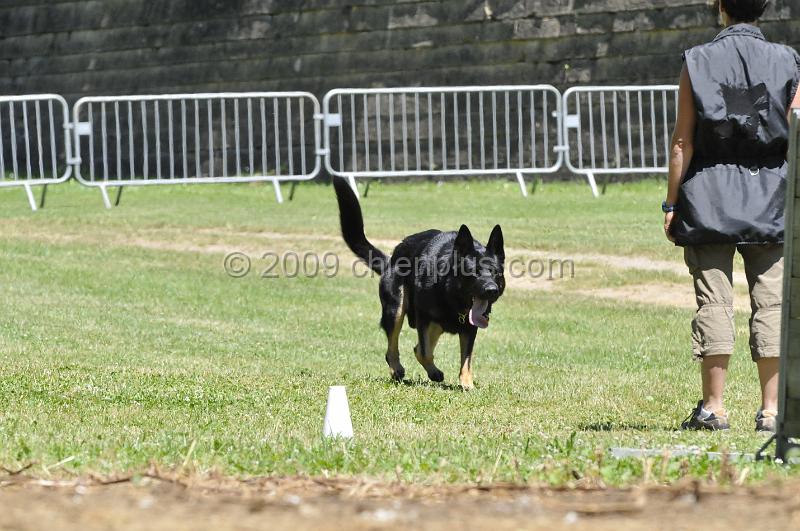_DSC9315.JPG - CHIENPLUS.COM