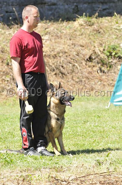 _DSC9396.JPG - CHIENPLUS.COM