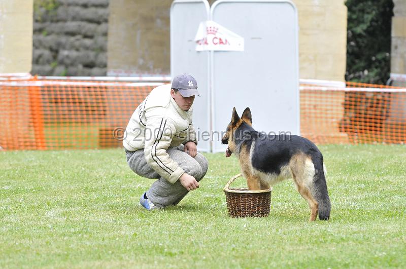 _DSC9669.JPG - CHIENPLUS.COM